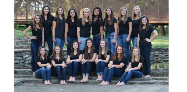 2014-2015 Junior Varsity Cheerleaders