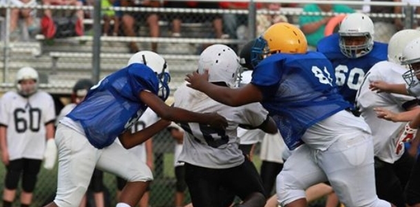 Panther Defense