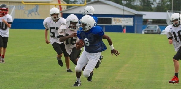 Panthers on the move
