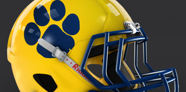 Quitman Panther Youth Football Camp June 13th