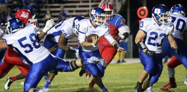 Hornets overcome adversity, Lions for 27-8 victory
