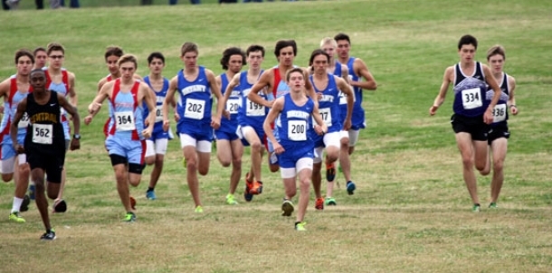 Hornets finish 6th at State meet