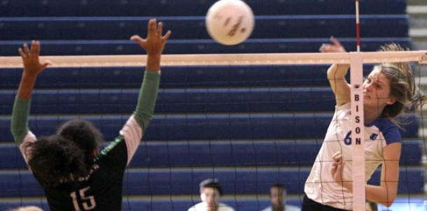 Lady Hornets make quick work of Pointerettes