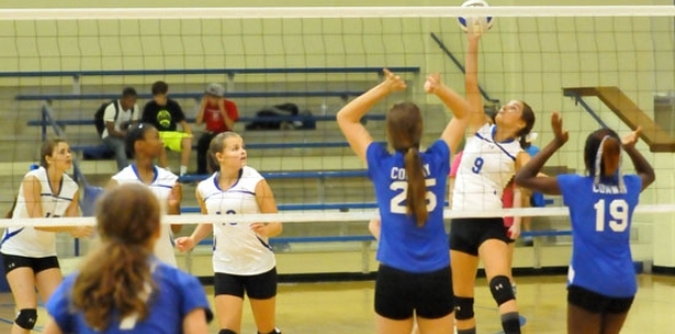 Lady Hornets frosh absorb another close setback