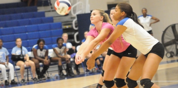 After strong Spikefest, Lady Hornets tripped up by Lady Panthers