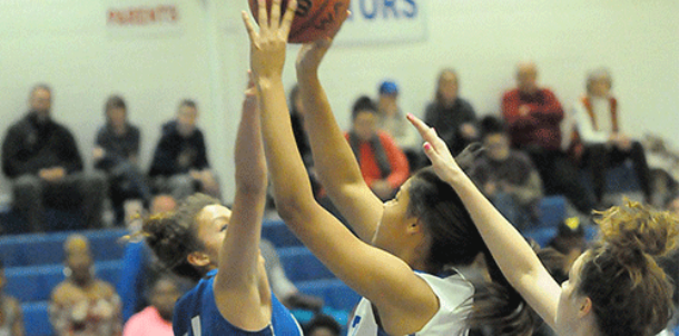 Lady Hornets challenge Lady Cats before giving way late