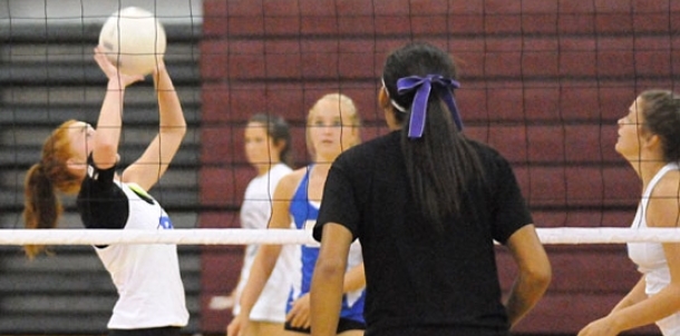 Lady Hornets begin 2014 campaign at Benton benefit jamboree Thursday