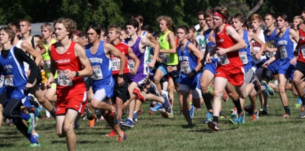Hornets competitive at massive meet at UA
