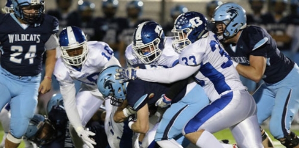 Hornets extract landmark playoff victory, reach semifinals for the first time