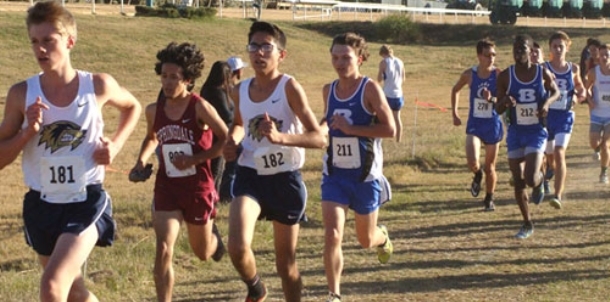 Carder earns All-State honors, Hornets finish sixth at State