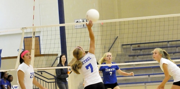 Bryant Blue rallies to complete sweep of Lady Cats