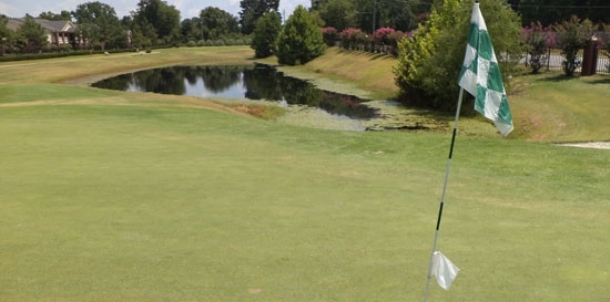 BHS golfers start 2016 season Monday at El Dorado