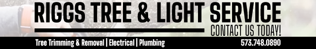 Advertisement image for Riggs Tree & Light Service