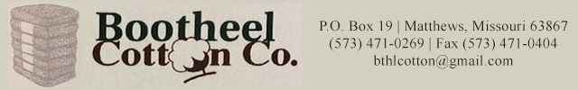 Advertisement image for Bootheel Cotton Company