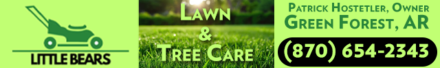 Advertisement image for Little Bears Lawn and Tree Care