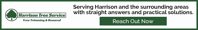 Advertisement image for Harrison Tree Service LLC