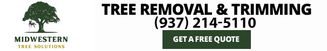 Advertisement image for MidWestern Tree Solutions