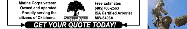 Advertisement image for Mercer Tree Service LLC