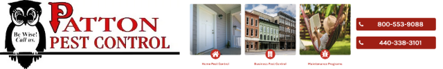 Advertisement image for Patton Pest Control