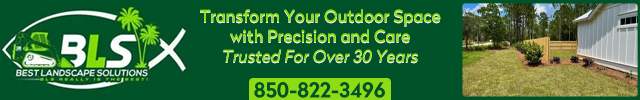 Advertisement image for Best Landscape Solutions