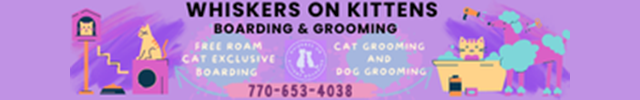 Advertisement image for Whiskers on Kittens Boarding