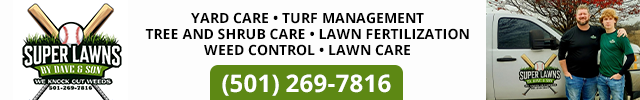 Advertisement image for Super Lawns By Dave & Son