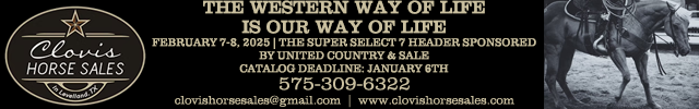 Advertisement image for Clovis Horse Sales