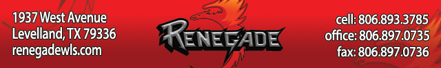Advertisement image for Renegade