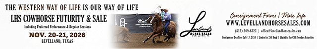 Advertisement image for Levelland Horse Sales