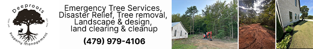 Advertisement image for Deeproots Property Management