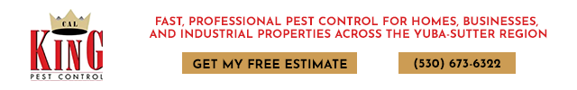 Advertisement image for Cal King Pest Control