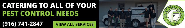 Advertisement image for Finley Pest Control