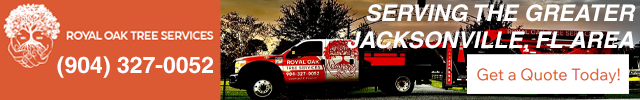 Advertisement image for Royal Oak Tree Services