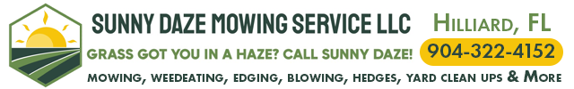 Advertisement image for Sunny Daze Mowing Service LLC