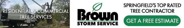 Advertisement image for Brown Storm Service