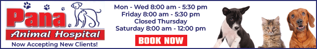 Advertisement image for Pana Animal Hospital
