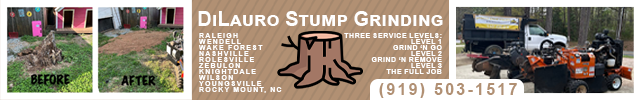 Advertisement image for DiLauro Stump Grinding