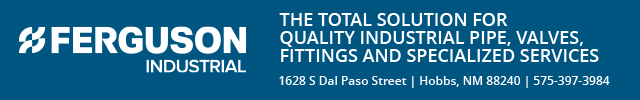 Advertisement image for Ferguson Industrial