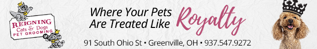 Advertisement image for Reigning Cats & Dogs Pet Grooming