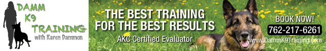 Advertisement image for Damm K9 Training