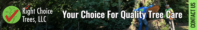 Advertisement image for Right Choice Trees