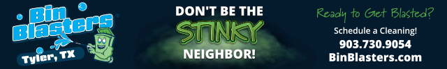 Advertisement image for Bin Blasters