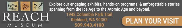 Advertisement image for REACH Museum
