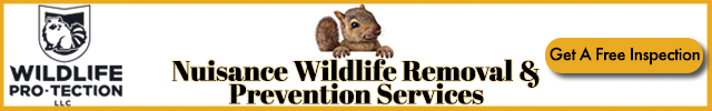 Advertisement image for WILDLIFE PRO-tection