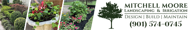 Advertisement image for Mitchell Moore Tree Services