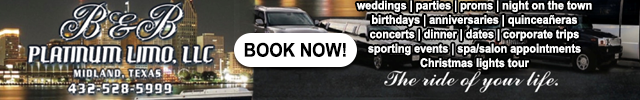 Advertisement image for B&B Platinum Limo