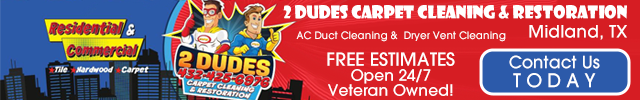 Advertisement image for 2 Dudes Carpet Cleaning and Restoration