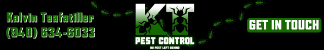 Advertisement image for KT Pest Control