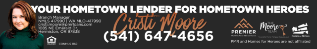Advertisement image for Premier Mortgage Resources - TheMooreTeam