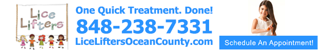 Advertisement image for Lice Lifters of Ocean County LLC